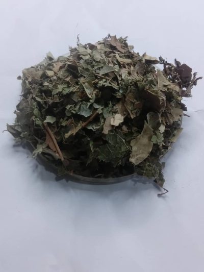 Guava leaves