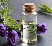 Lavender Carrier Oil