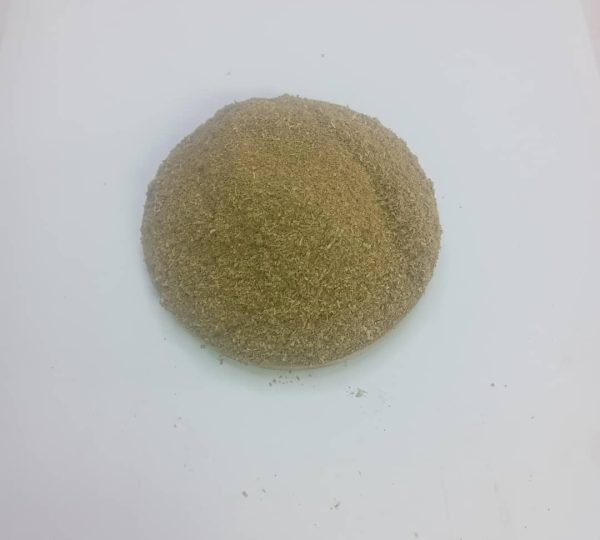 Oregano powder