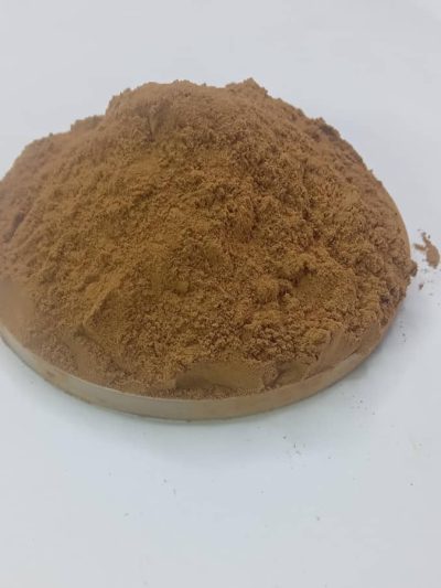 Reishi powder