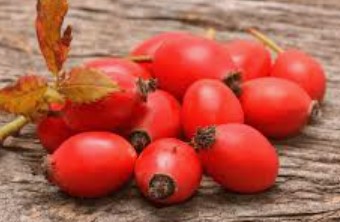 Unrefined Rosehip Oil