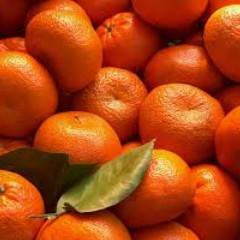 Mandarin Essential Oil