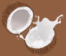 Creamy coconut fragrance oil