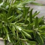 Rosemary Essential Oil