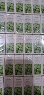 Jasmine Aromatherapy Perfume Oil - 10mL