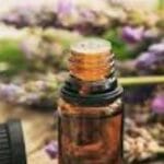 Lavender Essential Oil