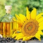 Sunflower Oil