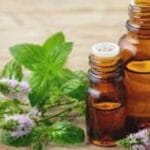 Peppermint Essential Oil