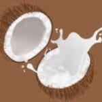 Creamy coconut fragrance oil