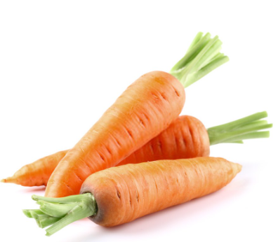 Carrot seed oil
