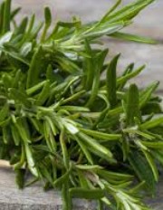Rosemary essential oil