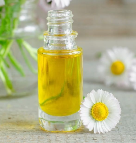 Chamomile Oil