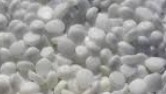 Cetyl Alcohol