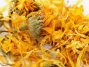 Calendula Petals