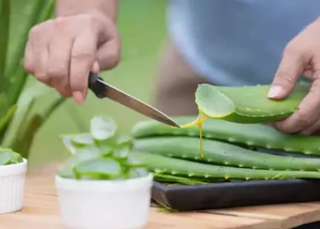 Aloe vera juice