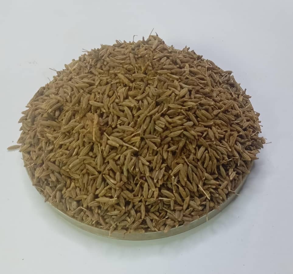 Cumin seed