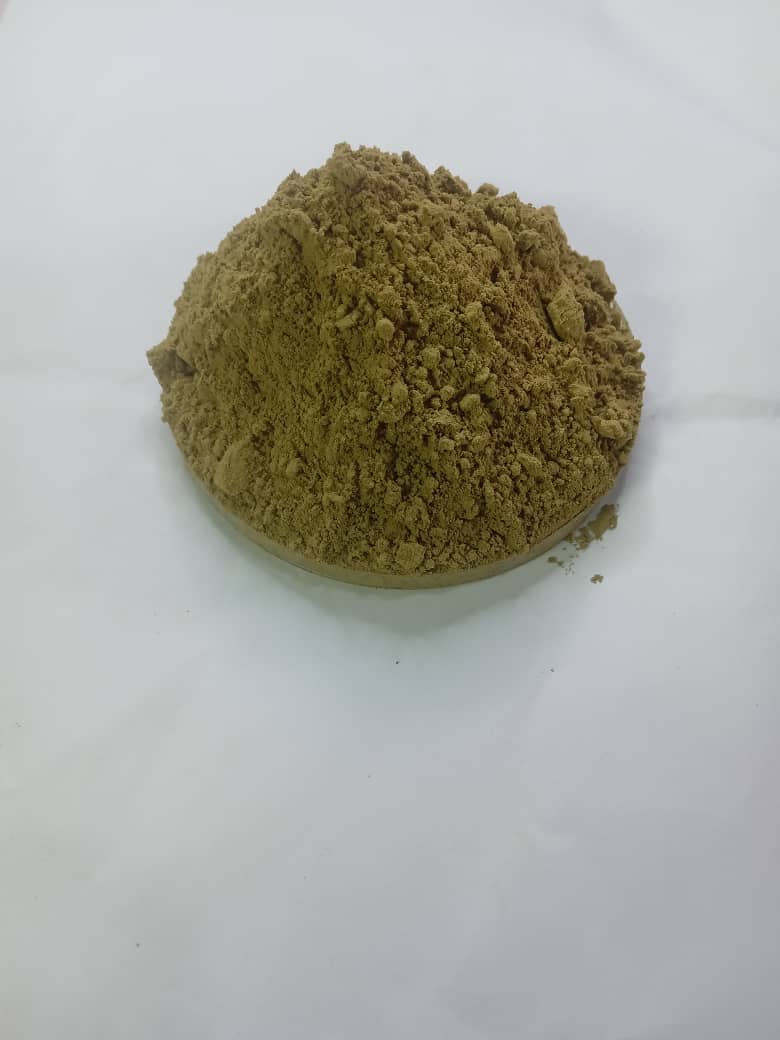 Ginko biloba