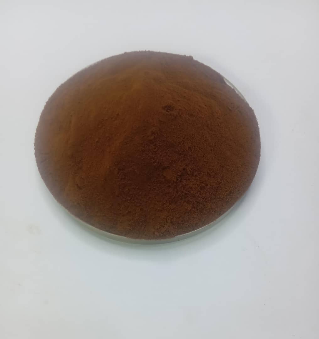 Papaya extract powder