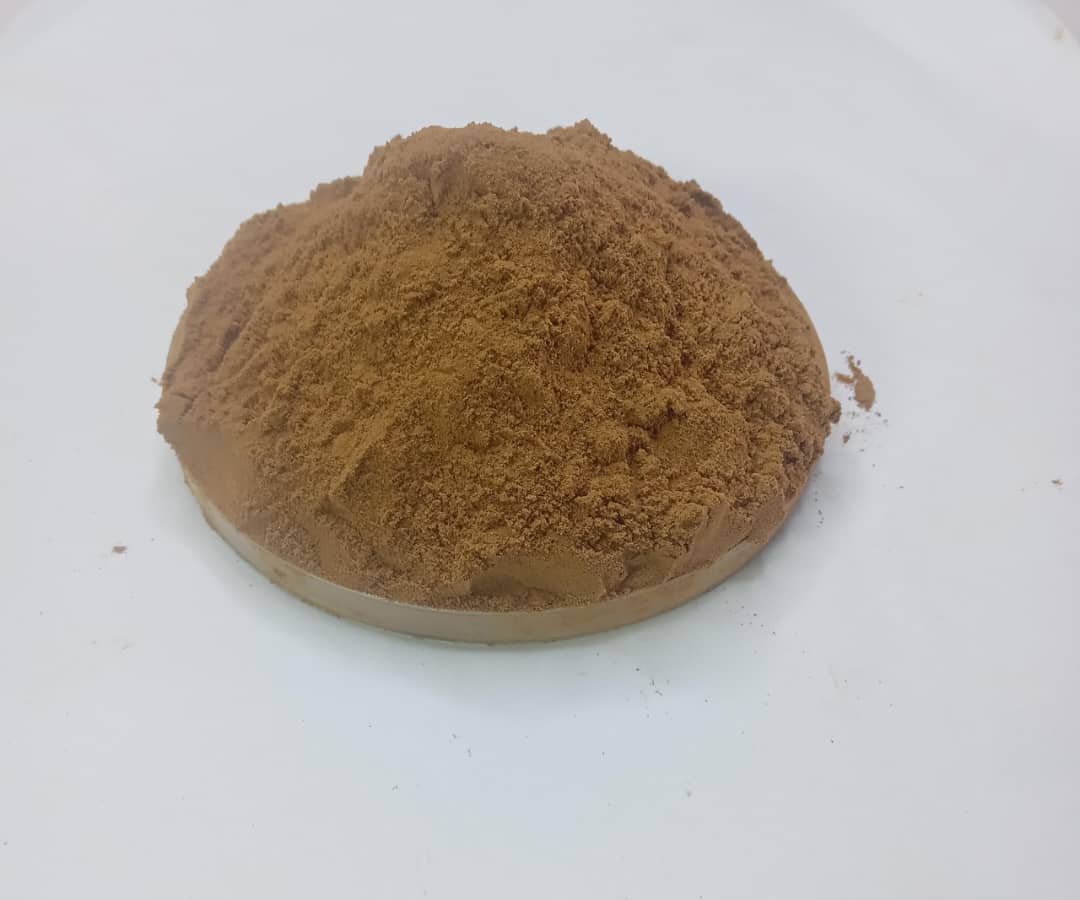 Reishi powder
