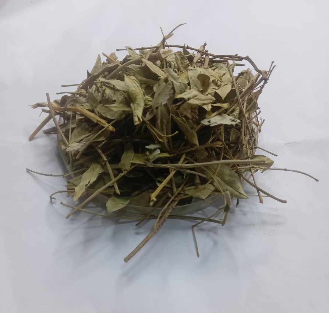 Sidr leaves