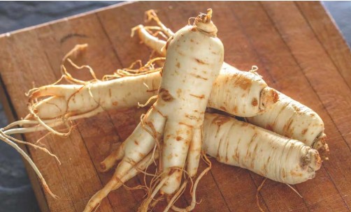 Ginseng Extract Powder