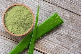 Aloe Vera Extract Powder