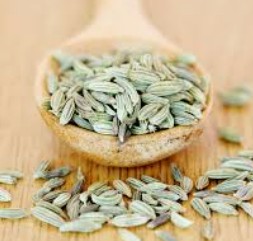 Fennel Essential Oil