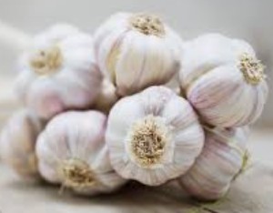Garlic Essential Oil