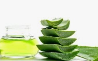 Aloe Vera Oil